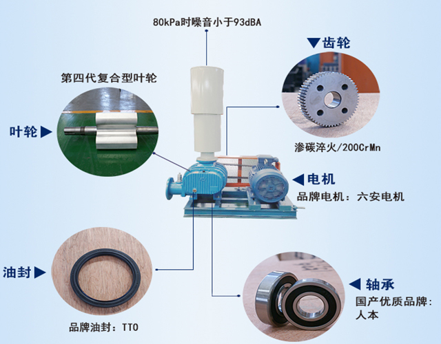 羅茨鼓風機結構圖